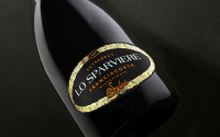 BOLLICINE