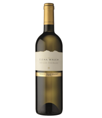 17751102134628-elenawalchmullerthurgauvignetidelledolomitiigt