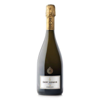 BOLLICINE