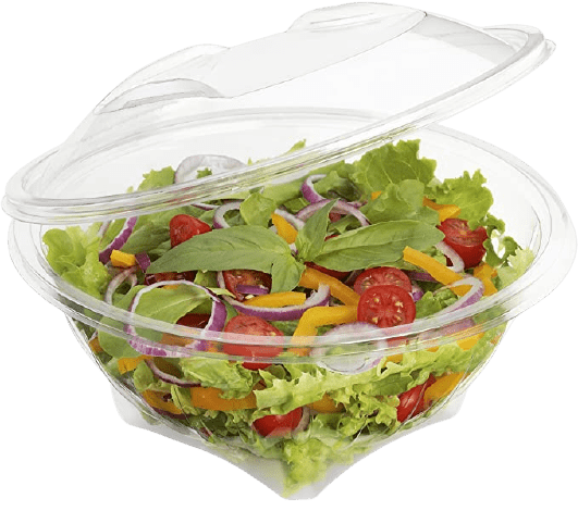 Esempio di contenitore per alimenti in plastica